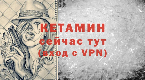 гидра Аркадак