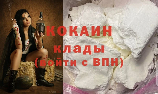 гидра Аркадак