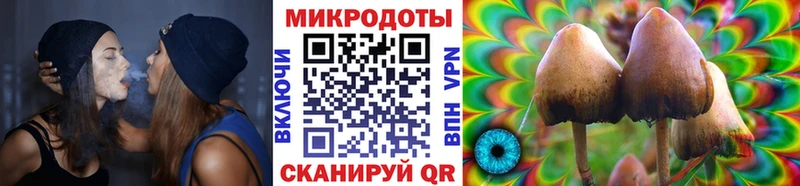 Псилоцибиновые грибы Cubensis  Валдай 